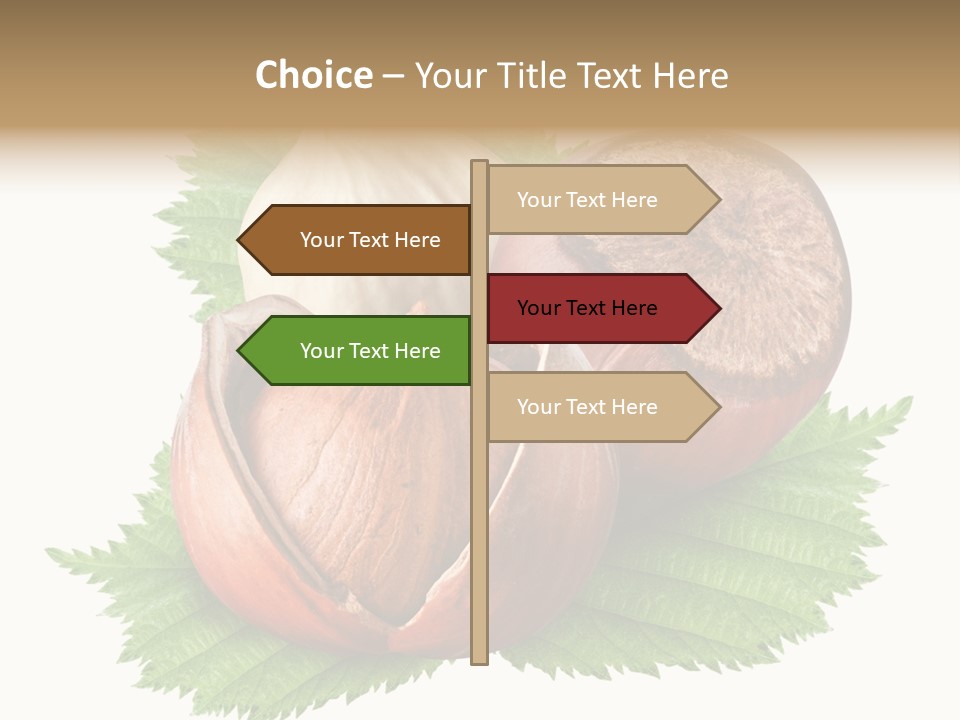 Tree Walnut Object PowerPoint Template