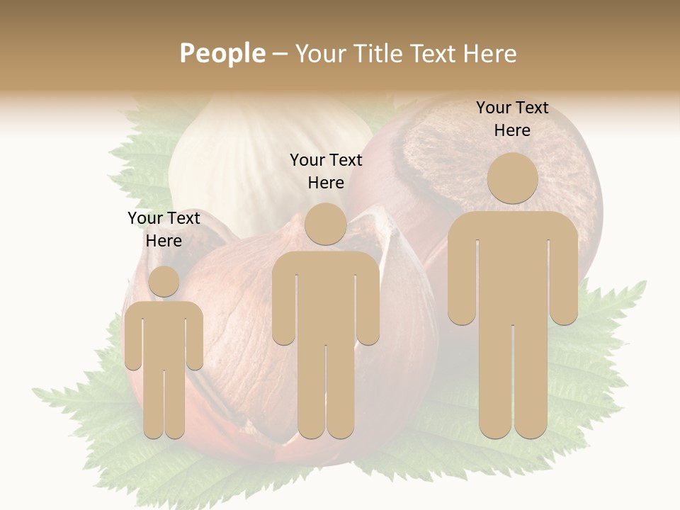 Tree Walnut Object PowerPoint Template