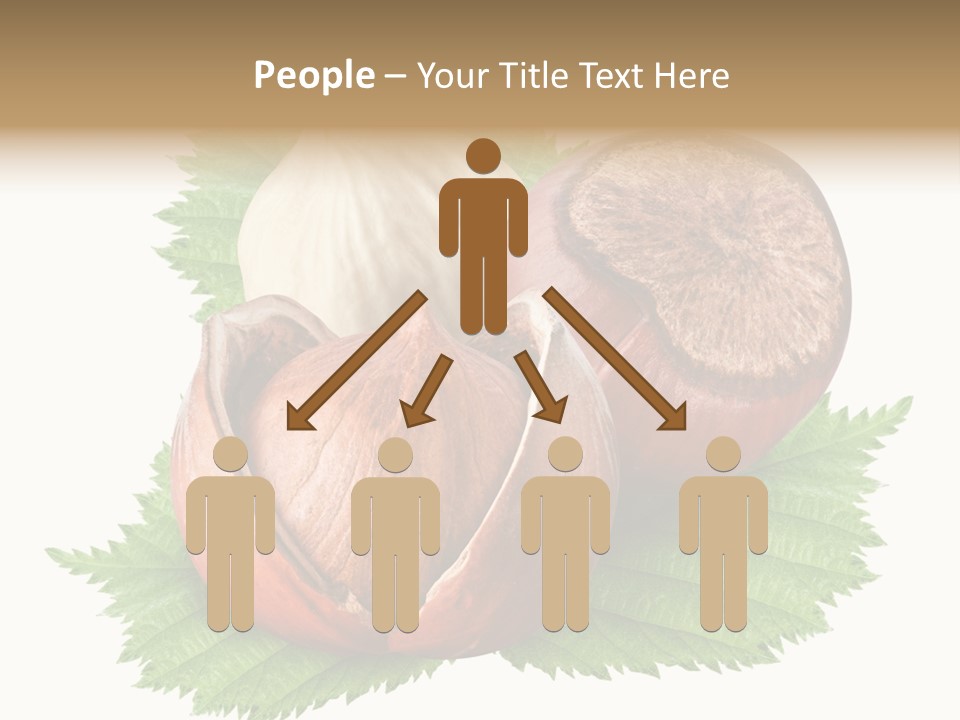 Tree Walnut Object PowerPoint Template