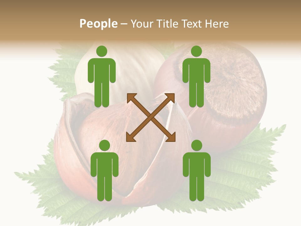 Tree Walnut Object PowerPoint Template