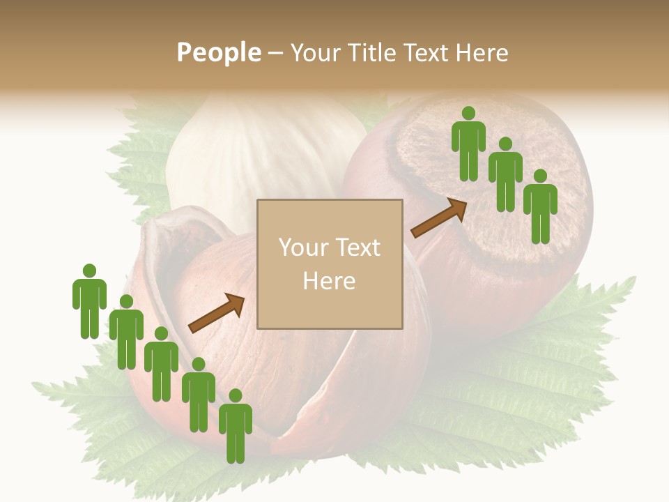 Tree Walnut Object PowerPoint Template