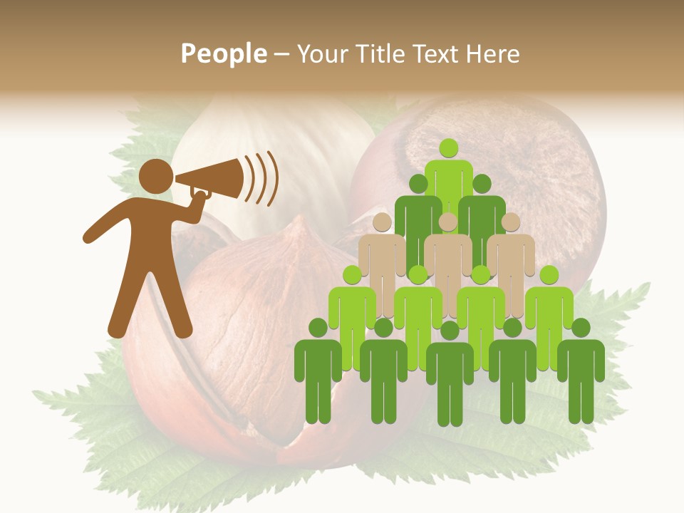 Tree Walnut Object PowerPoint Template