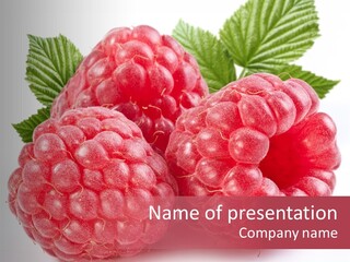 Berry Fresh Raspberry PowerPoint Template