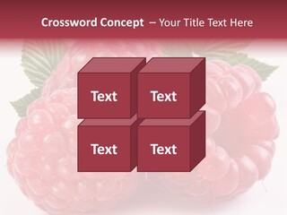 Berry Fresh Raspberry PowerPoint Template