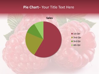 Berry Fresh Raspberry PowerPoint Template