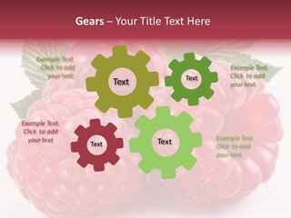 Berry Fresh Raspberry PowerPoint Template