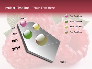 Berry Fresh Raspberry PowerPoint Template