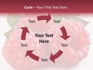 Berry Fresh Raspberry PowerPoint Template