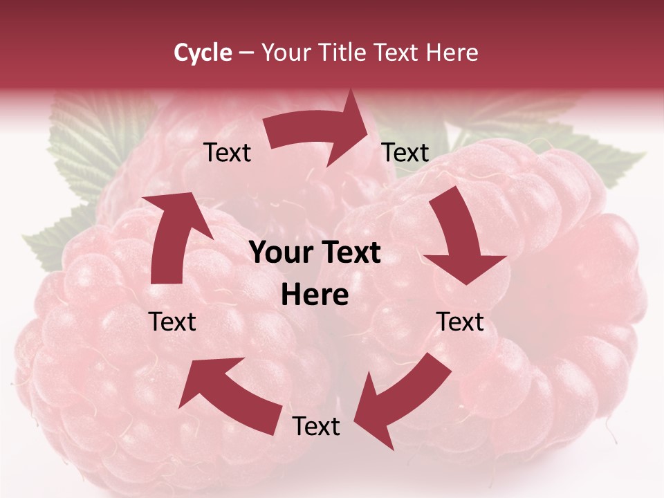 Berry Fresh Raspberry PowerPoint Template