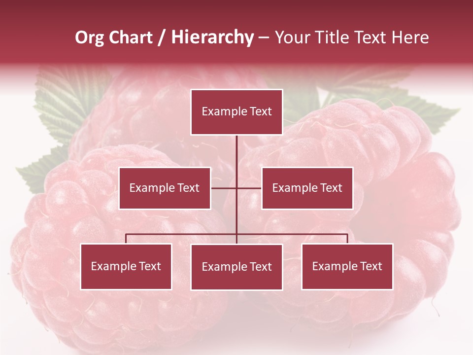 Berry Fresh Raspberry PowerPoint Template