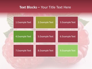 Berry Fresh Raspberry PowerPoint Template