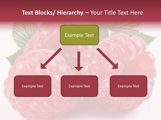 Berry Fresh Raspberry PowerPoint Template