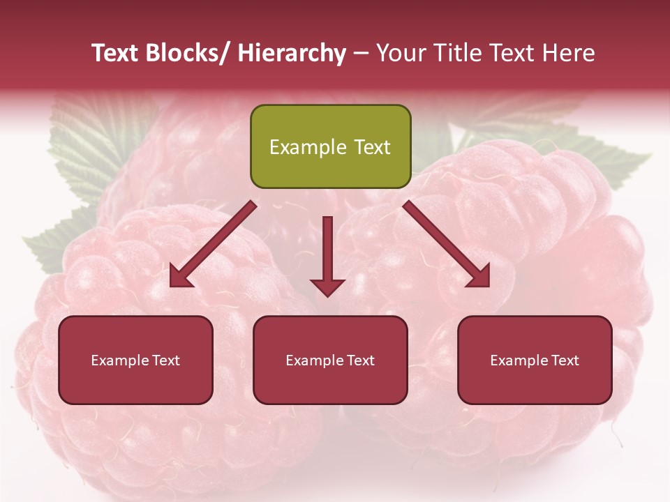 Berry Fresh Raspberry PowerPoint Template