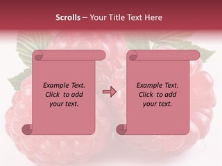 Berry Fresh Raspberry PowerPoint Template