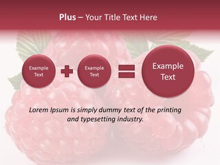 Berry Fresh Raspberry PowerPoint Template