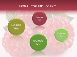 Berry Fresh Raspberry PowerPoint Template