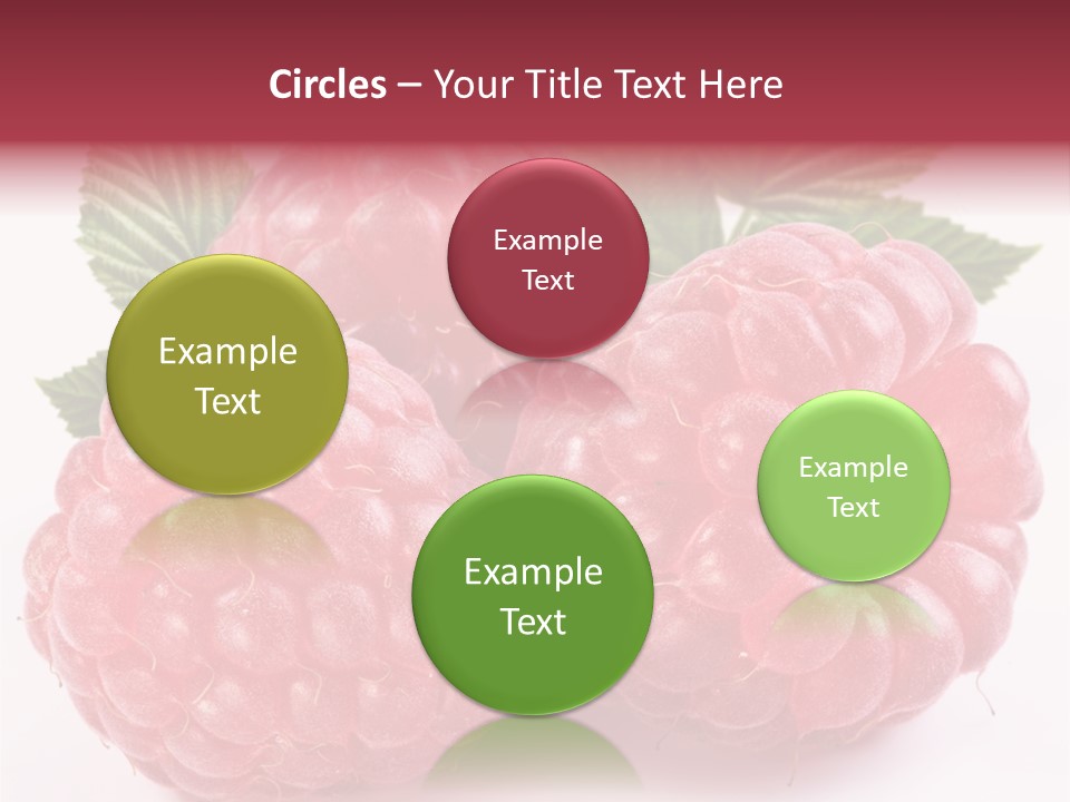 Berry Fresh Raspberry PowerPoint Template