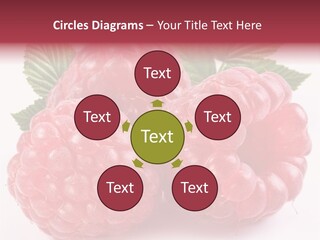 Berry Fresh Raspberry PowerPoint Template