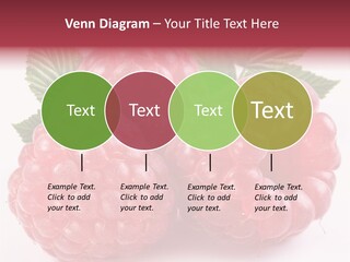 Berry Fresh Raspberry PowerPoint Template