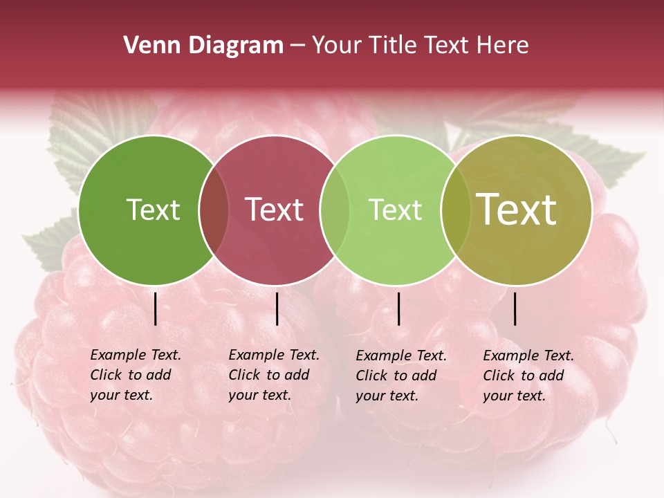 Berry Fresh Raspberry PowerPoint Template