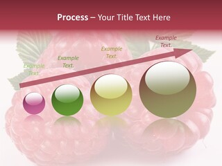 Berry Fresh Raspberry PowerPoint Template