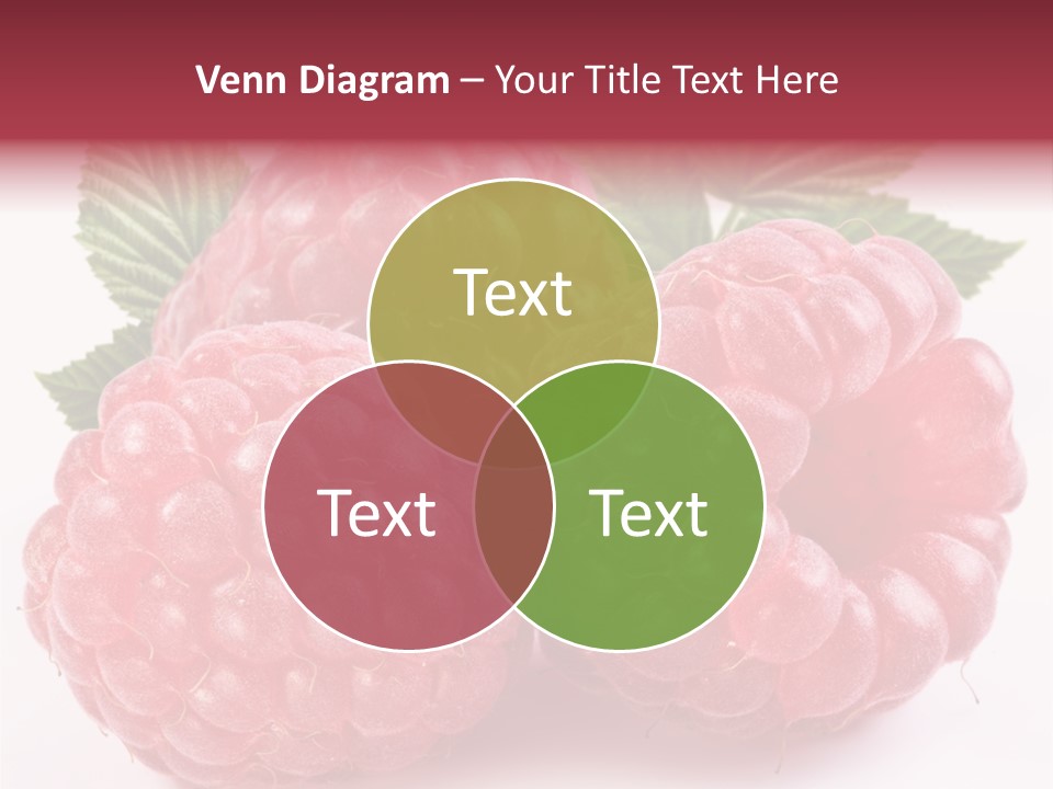 Berry Fresh Raspberry PowerPoint Template