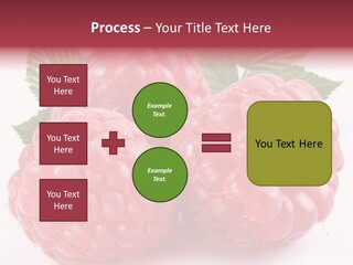Berry Fresh Raspberry PowerPoint Template