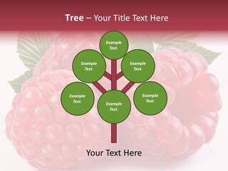 Berry Fresh Raspberry PowerPoint Template