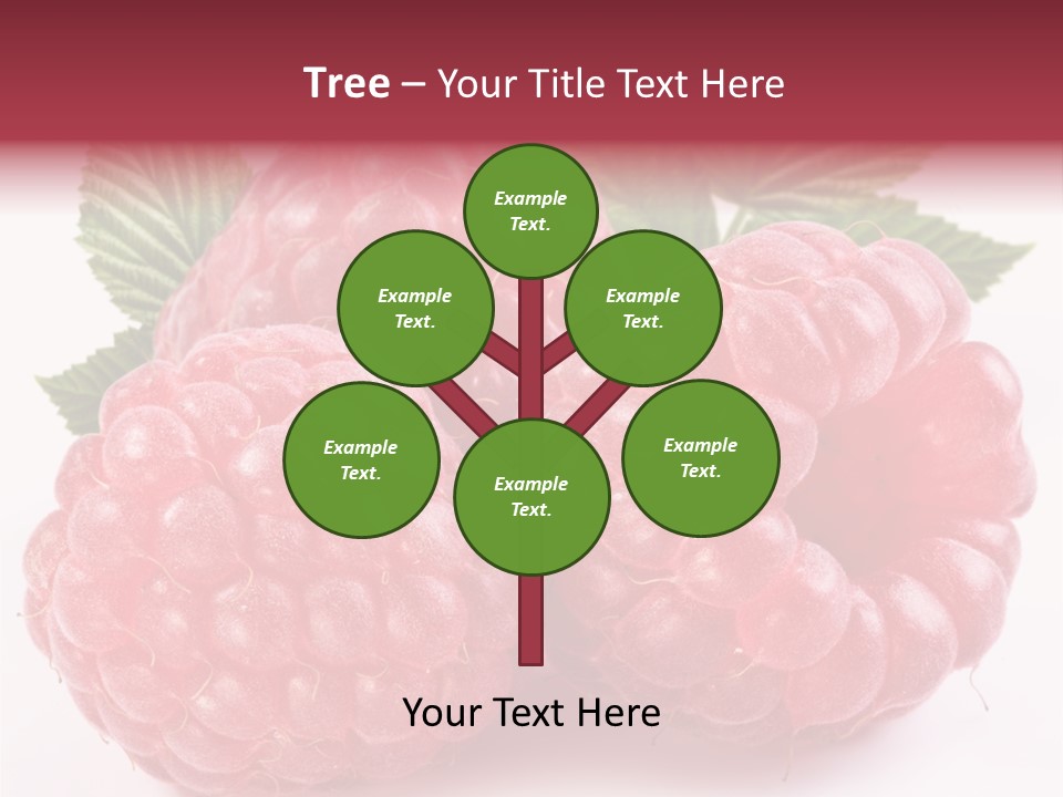 Berry Fresh Raspberry PowerPoint Template