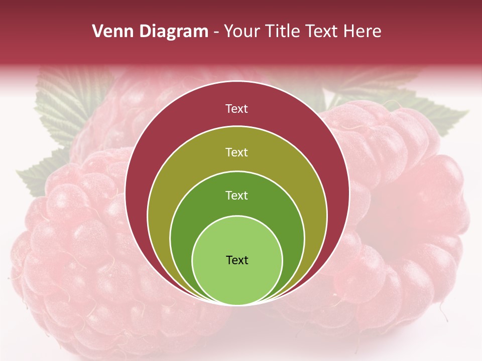 Berry Fresh Raspberry PowerPoint Template