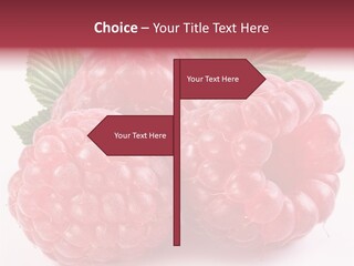 Berry Fresh Raspberry PowerPoint Template