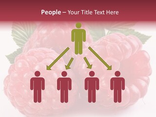 Berry Fresh Raspberry PowerPoint Template