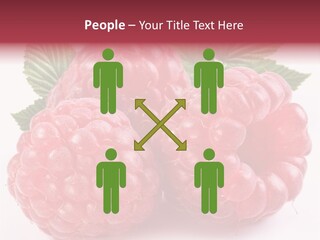 Berry Fresh Raspberry PowerPoint Template