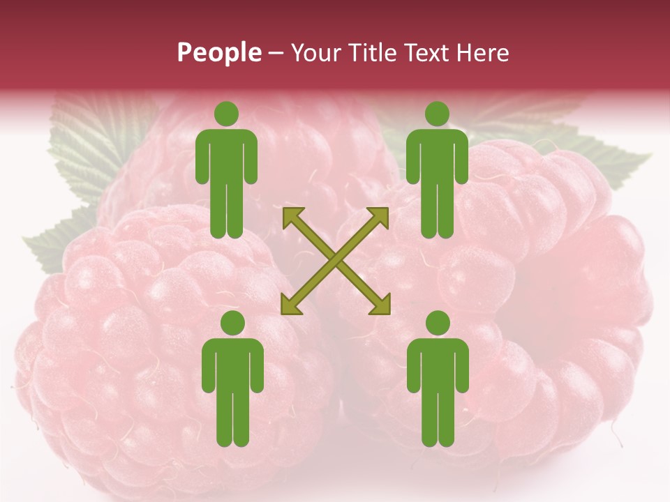 Berry Fresh Raspberry PowerPoint Template