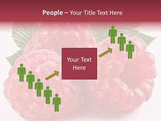 Berry Fresh Raspberry PowerPoint Template