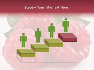 Berry Fresh Raspberry PowerPoint Template