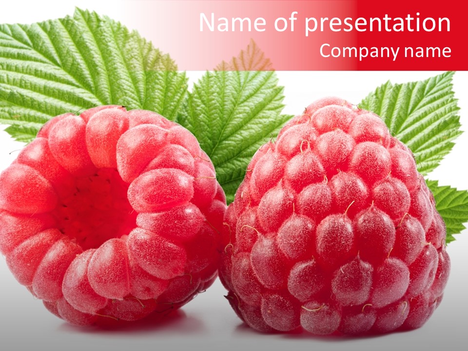 Vegetarian White Shot PowerPoint Template