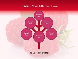 Composition Juicy Healthy Eating PowerPoint Template