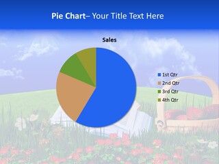 Food Produce Healthy PowerPoint Template