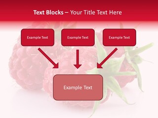 Healthy Eating Three Flora PowerPoint Template