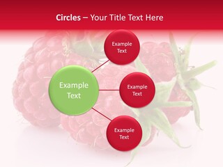 Healthy Eating Three Flora PowerPoint Template