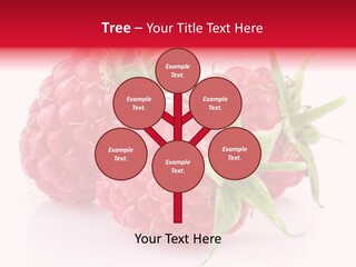 Healthy Eating Three Flora PowerPoint Template