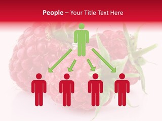 Healthy Eating Three Flora PowerPoint Template