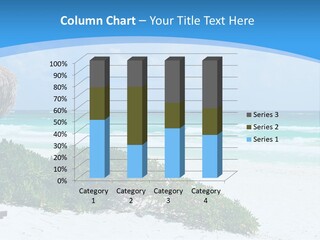 Idyllic Beautiful Shore PowerPoint Template