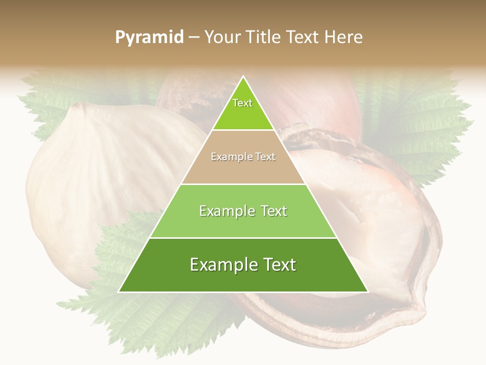 Tree Path Seed PowerPoint Template