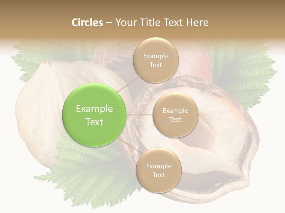 Tree Path Seed PowerPoint Template