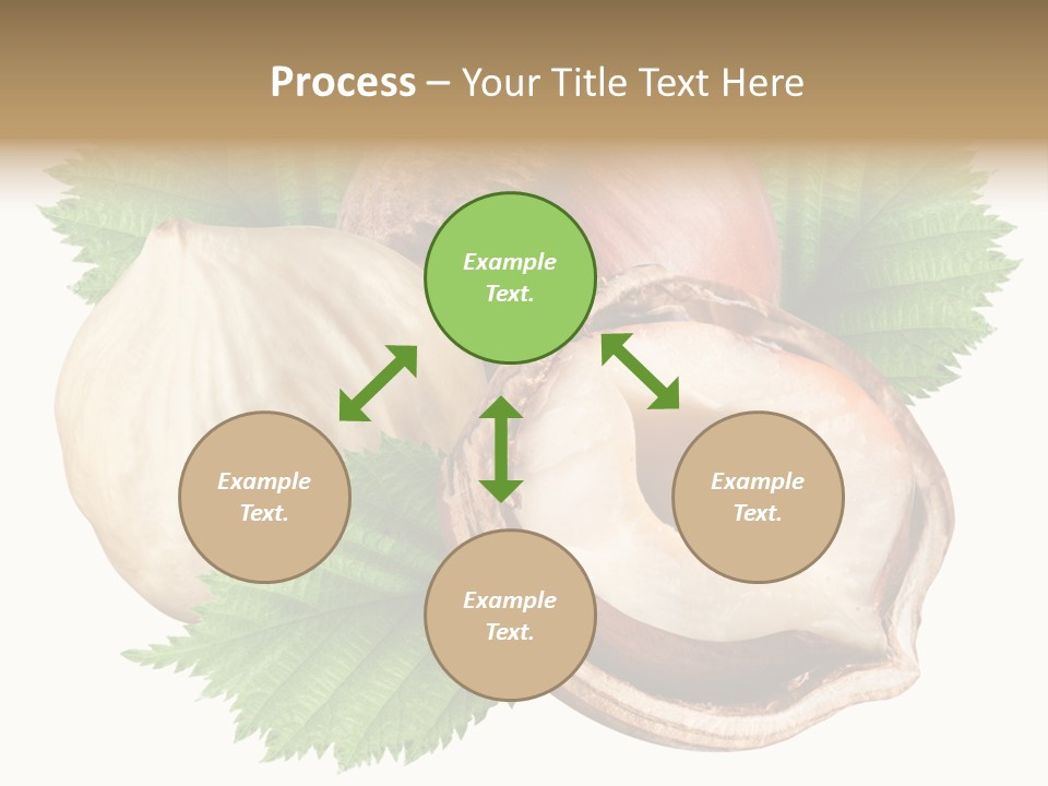 Tree Path Seed PowerPoint Template