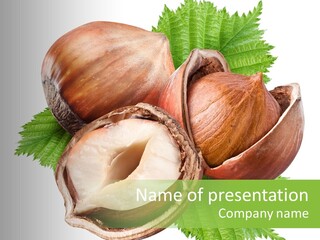 Organic Brown Seasonal PowerPoint Template