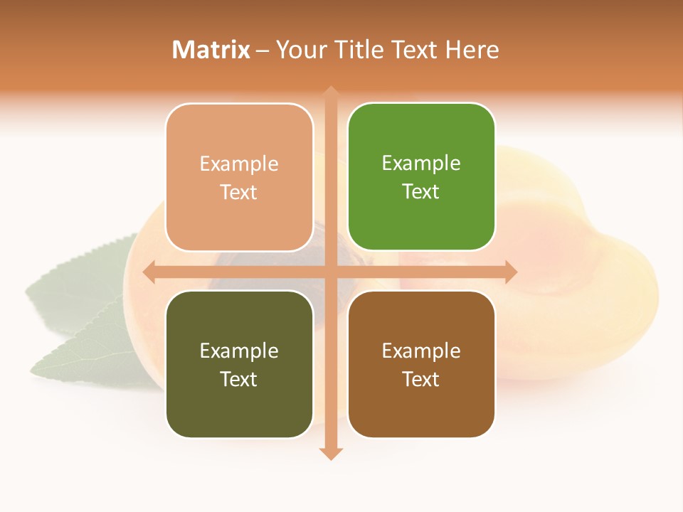 Stone Vitamin Health PowerPoint Template