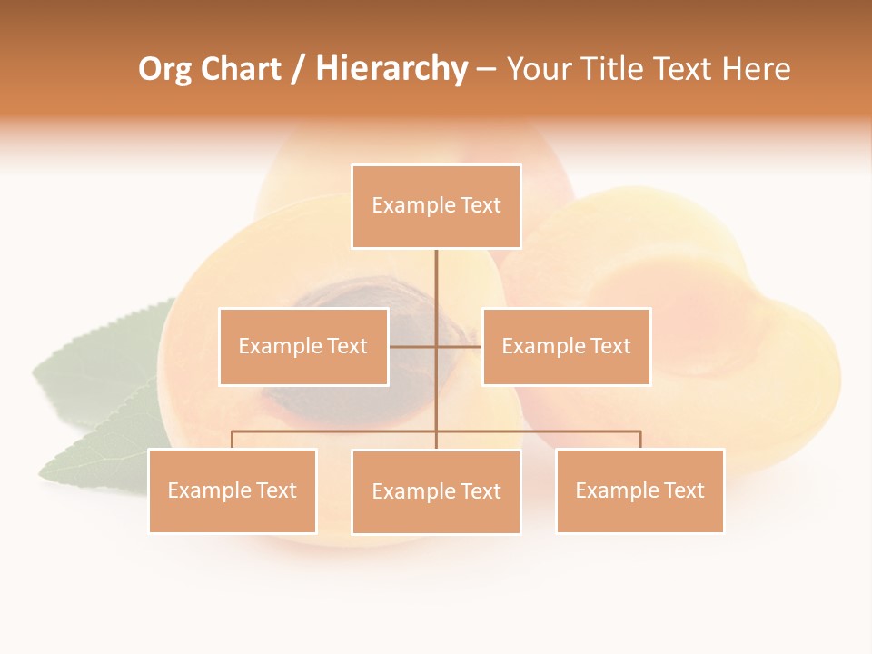 Stone Vitamin Health PowerPoint Template